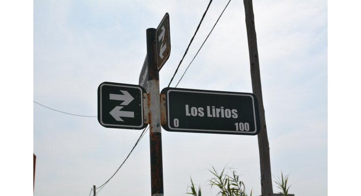 ASFALTARÁN LAS PETUNIAS Y LOS LIRIOS COMO OBRA COMPLEMENTARIA