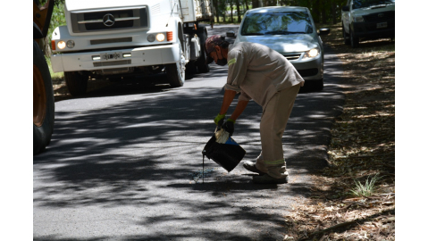 COMENZÓ EL BACHEO EN LA ENTRADA A LA ESCUELA ALBERDI