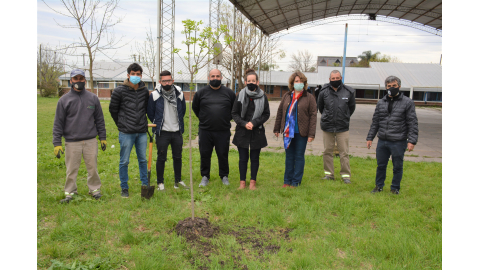 COMENZÓ LA PLANTACIÓN DE ÁRBOLES EN LAS ESCUELAS QUE PARTICIPARON DEL ECO CANJE