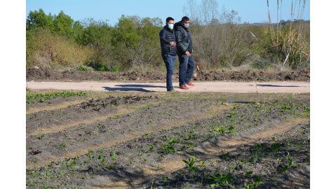 COMIENZA A DAR SUS FRUTOS EL PARQUE HORTÍCOLA LOCAL