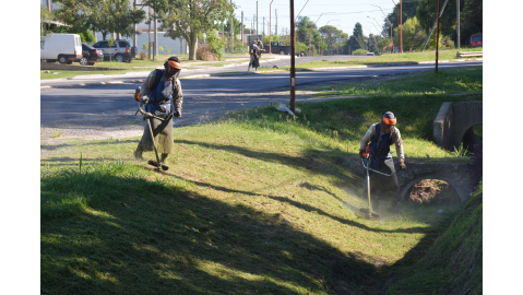 CONTINÚAN LOS TRABAJOS DE DESMALEZADO EN DIFERENTES ESPACIOS DE LA CIUDAD