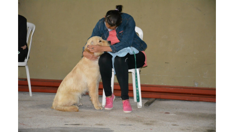 EL 21 DE AGOSTO HABRÁ UN OPERATIVO DE ESTERILIZACIÓN DE ANIMALES DOMÉSTICOS