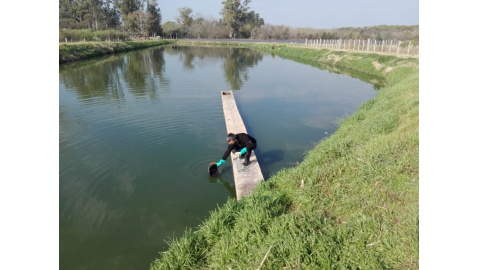 EL ÁREA DE AMBIENTE MONITOREA EL FUNCIONAMIENTO DE LAS LAGUNAS DE TRATAMIENTO DE EFLUENTES