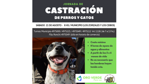 EL PRÓXIMO SÁBADO HABRÁ UN OPERATIVO DE ESTERILIZACIÓN DE ANIMALES DOMÉSTICOS