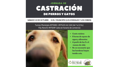 EL SÁBADO 10 DE OCTUBRE HABRÁ UN OPERATIVO DE CASTRACIÓN