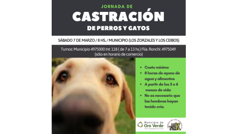 EL SÁBADO 7 DE MARZO SE REALIZARÁ LA PRIMERA JORNADA DE CASTRACIÓN DEL AÑO