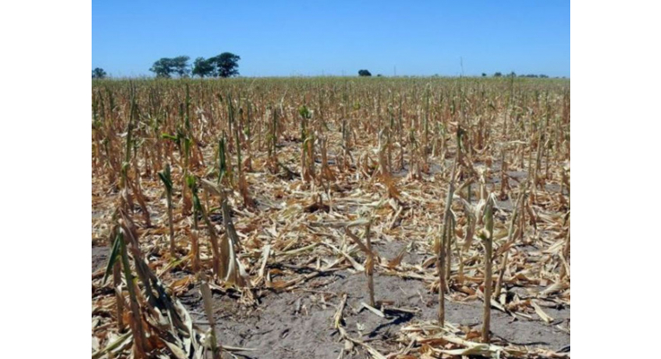 EMERGENCIA AGROPECUARIA: ASESORAMIENTO DEL MUNICIPIO