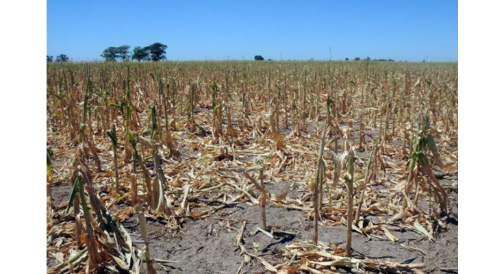 EMERGENCIA AGROPECUARIA: ASESORAMIENTO DEL MUNICIPIO
