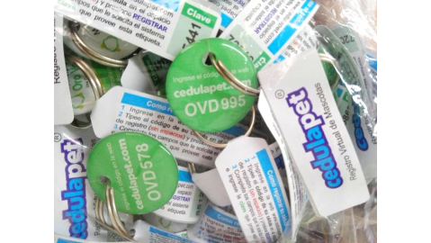 Entregarán las medallas identificatorias para mascotas en el “Día de perros y gatos”