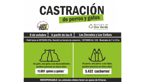 Esterilizarán animales domésticos con un costo mínimo en el Municipio