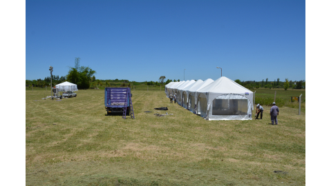 FERIANTES Y ARTESANOS OFRECERÁN SUS PRODUCTOS EN EL FESTIVAL DE “HIMNOS POR LA PAZ”