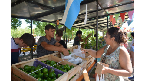 HUERTEROS VENDIERON SUS PRODUCTOS AGROECOLÓGICOS EN LA PRIMERA FERIA VERDE