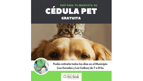 IDENTIFICACIÓN PARA MASCOTAS ¿SABÍAS QUE PODÉS PEDIRLA GRATUITAMENTE EN EL MUNICIPIO?