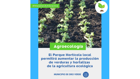 INCENTIVAR LA PRODUCCIÓN DE ALIMENTOS AGROECOLÓGICOS