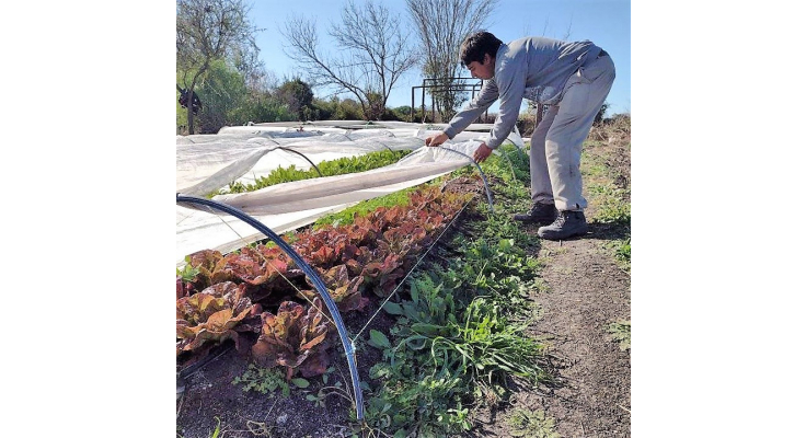 LICITAN LA COMPRA DE MAQUINARIAS JUNTO OTROS MATERIALES PARA EL PROYECTO MUNICIPAL “RED DE HUERTEROS Y HUERTERAS DE ORO VERDE”