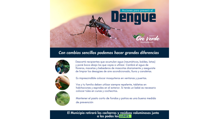 Medidas de prevención del dengue