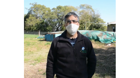 MONITOREO DE CONTAMINANTES AGRÍCOLAS: DETALLES DEL PROYECTO