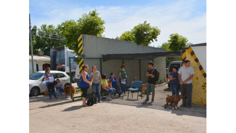 Nueva jornada de castración de animales de compañía