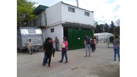 Nueva jornada de castración de animales domésticos