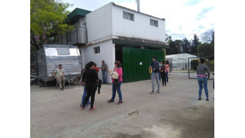 Nueva jornada de esterilización de animales domésticos