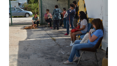 NUEVA JORNADA DE ESTERILIZACIÓN DE ANIMALES DOMÉSTICOS