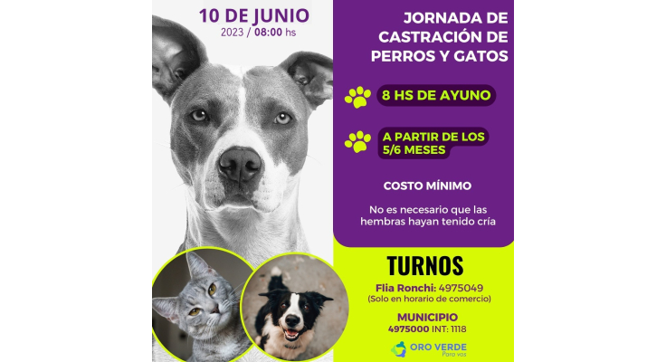 NUEVO OPERATIVO DE ESTERILIZACIÓN DE ANIMALES DOMÉSTICOS