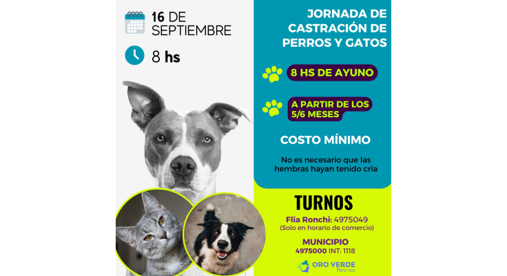 NUEVO OPERATIVO DE ESTERILIZACIÓN DE ANIMALES DOMÉSTICOS EL 16 DE SEPTIEMBRE
