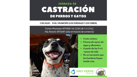 NUEVO OPERATIVO DE ESTERILIZACIÓN DE ANIMALES DOMÉSTICOS EL 2 DE JULIO