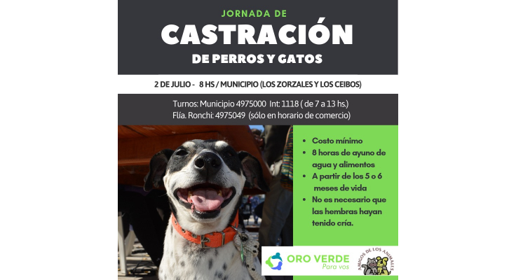 NUEVO OPERATIVO DE ESTERILIZACIÓN DE ANIMALES DOMÉSTICOS EL 2 DE JULIO