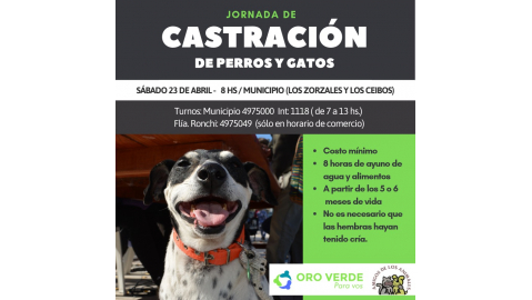 NUEVO OPERATIVO DE ESTERILIZACIÓN DE ANIMALES DOMÉSTICOS EL 23 DE ABRIL