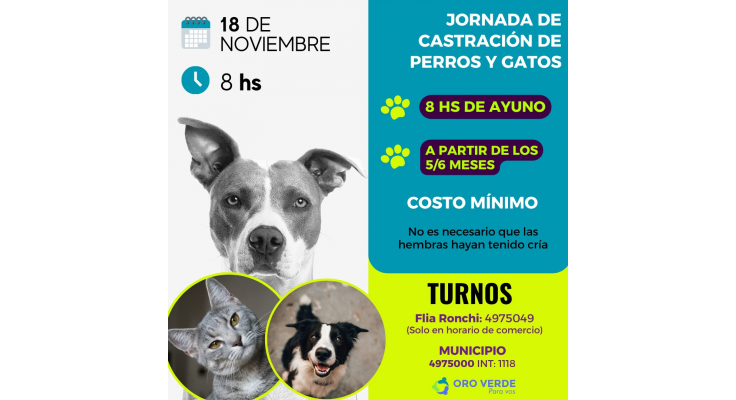 NUEVO OPERATIVO DE ESTERILIZACIÓN DE ANIMALES DOMÉSTICOS EN NOVIEMBRE