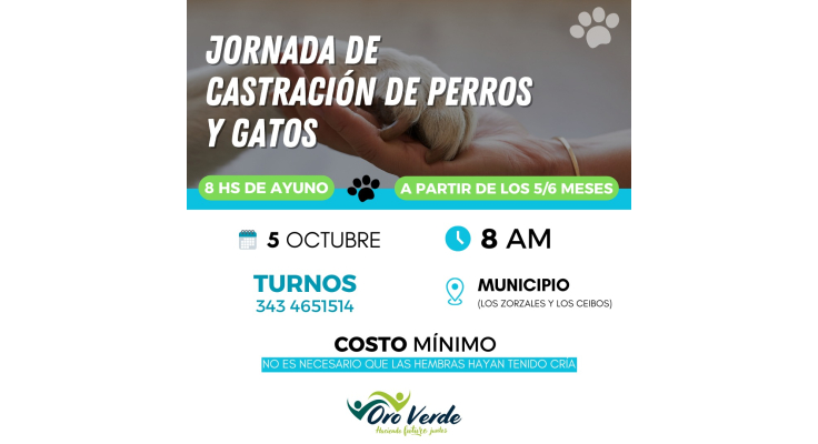 Nuevo operativo de esterilización de animales domésticos en octubre