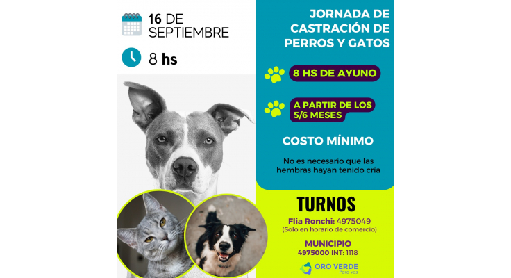 NUEVO OPERATIVO DE ESTERILIZACIÓN DE ANIMALES DOMÉSTICOS EN SEPTIEMBRE