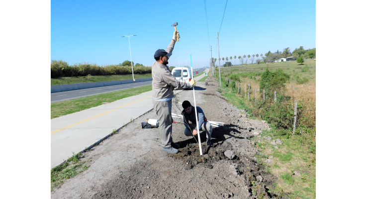 PLANTACIÓN DE ESPINILLOS EN LA BICISENDA PARALELA A LA RUTA 11