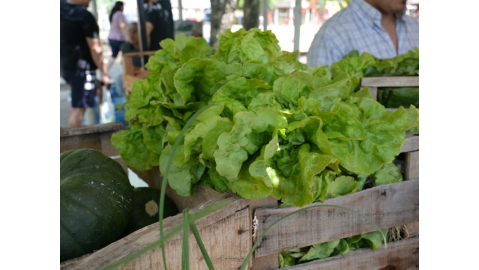 PRODUCTOS AGROECOLÓGICOS EN LA GRAN FERIA VERDE