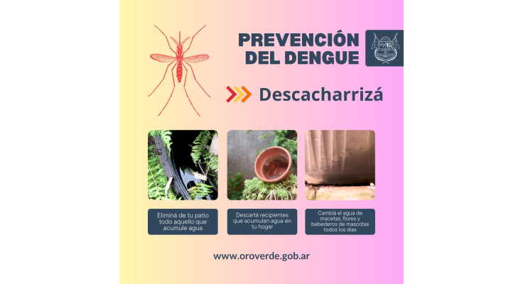 RECOMENDACIONES PARA LA PREVENCIÓN DEL DENGUE