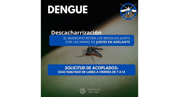Recomendaciones para la prevención del dengue