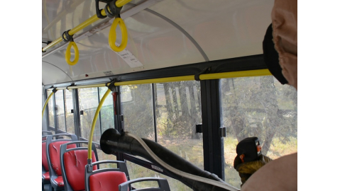 RETOMAN LA DESINFECCIÓN EN EL TRANSPORTE PÚBLICO