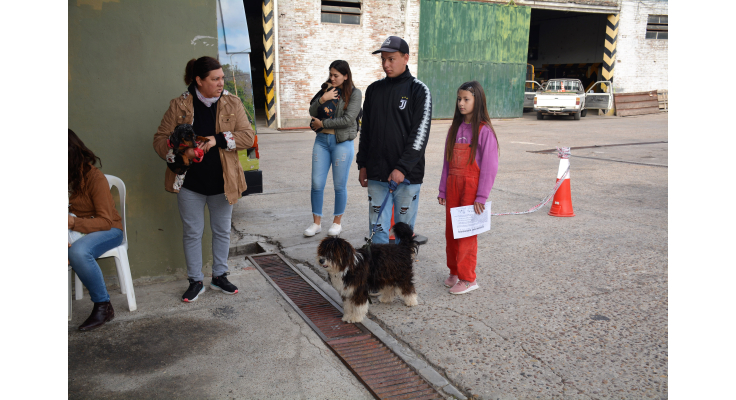 SE ESTERILIZARON 80 ANIMALES EN EL ÚLTIMO OPERATIVO