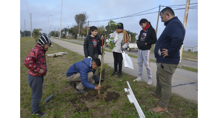 Segunda jornada de plantación de árboles con escuelas de la localidad y la región