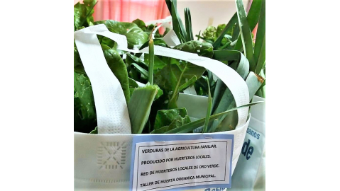 TALLER DE HUERTA FAMILIAR: PIEZA CLAVE EN LA PRODUCCIÓN DE ALIMENTOS AGROECOLÓGICOS DE LA COMUNIDAD