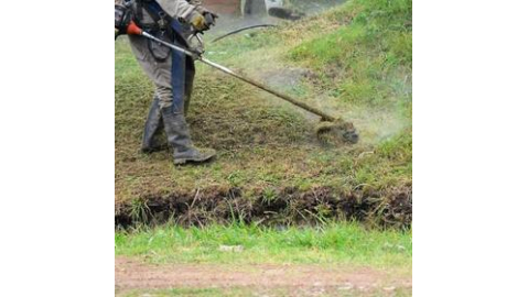 TRABAJAN EN EL DESMALEZADO Y MANTENIMIENTO DE PARTE DE LA ESCUELA ALBERDI y  OASIS