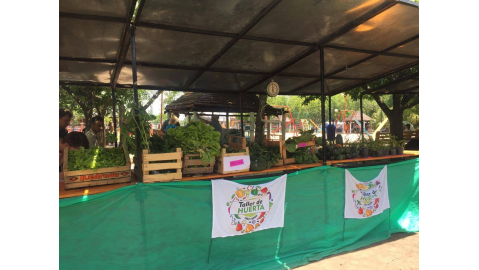 TRABAJAN EN LA ORDENANZA  PARA DAR UN MARCO NORMATIVO A LA RED DE HUERTEROS Y HUERTERAS DE ORO VERDE