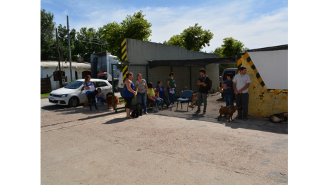 Última Jornada de Castración de Animales de compañía del año