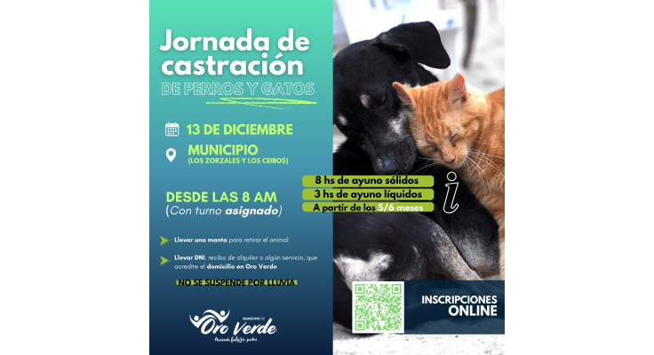 Última jornada de castración de perros y gatos del año